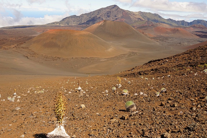 Haleakala Tal