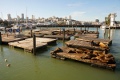 Pier 39
