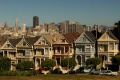 Painted Ladies