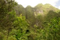 Am Maunawili Trail