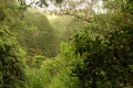 Am Waihe'e Falls Trail
